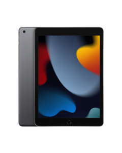 Tablet Apple iPad 10.2 9.Gen 256GB WiFi - Grey