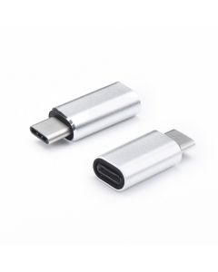 Adapter charger for iPhone Lightning 8-pin  do Typ C silver